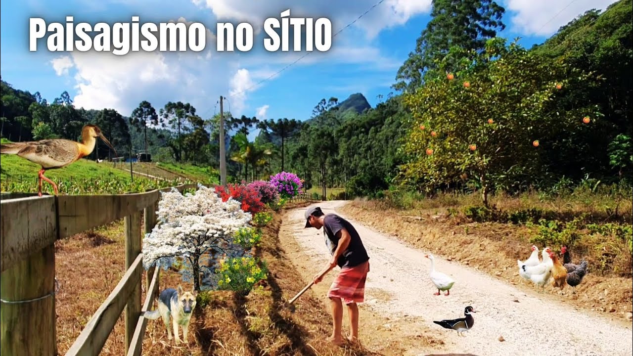 LANDSCAPING IN FRONT OF THE FARM, IT WILL LOOK VERY BEAUTIFUL!
