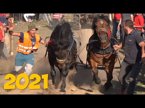 ŠTRAPARIJADA TREBEVIĆ - LUKE  2021!!!