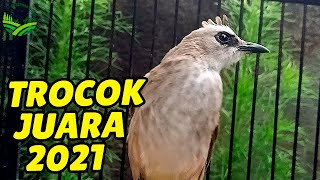 Download lagu TRUCUKAN JUARA!! SUPER GACOR ROPEL PANJANG mp3