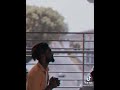 Fake Love Malaysia Song Tamil Malaysia Whatsappstatus