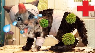 Little Kitten Preschool Adventure Educational Games -Play Fun Cute Kitten Pet Ca