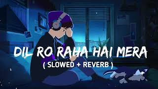 Download lagu Dil ro raha hai mera slowed reverb | Alka Yagnik and Udit Narayan | mp3