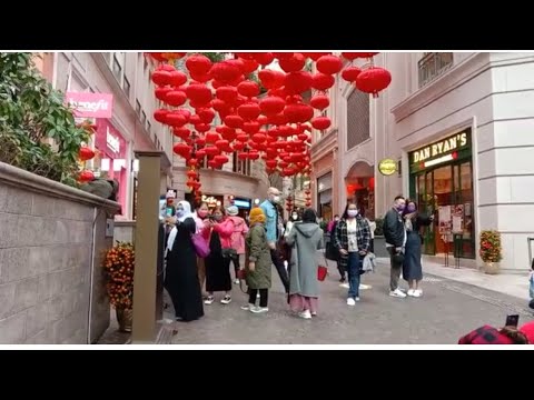 Lucky flowers 2022 / Chinese New Year