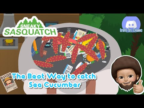 Sneaky Sasquatch - Best way to catch Sea Cucumber