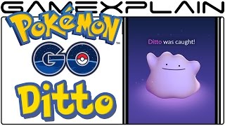 Pokémon Go - Ditto Can Be Caught Right NOW