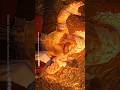 What Did Narasimha Promise Prahlad Find Out Now Narsingh Avatar Status Vishnu Prahlad Narsingh