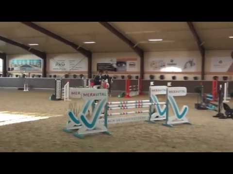 Sold Call me Claus 6y/o gelding by Cancara(Cassini I)XLudwig von Bayern