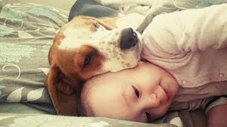 Dog and baby are best friends: It's never too late to train your pet to get along with your children