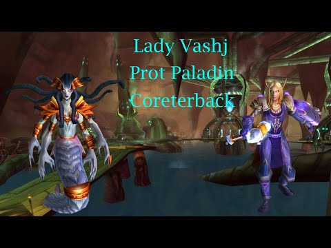 SSC Lady Vashj - Prot Paladin POV First Kill - TBC Classic