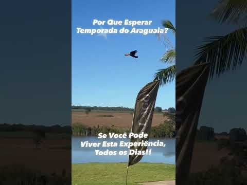 Férias o Ano Todo!#hidrolândia #goias #goiânia #aparecidadegoiania #Sonhos #shorts