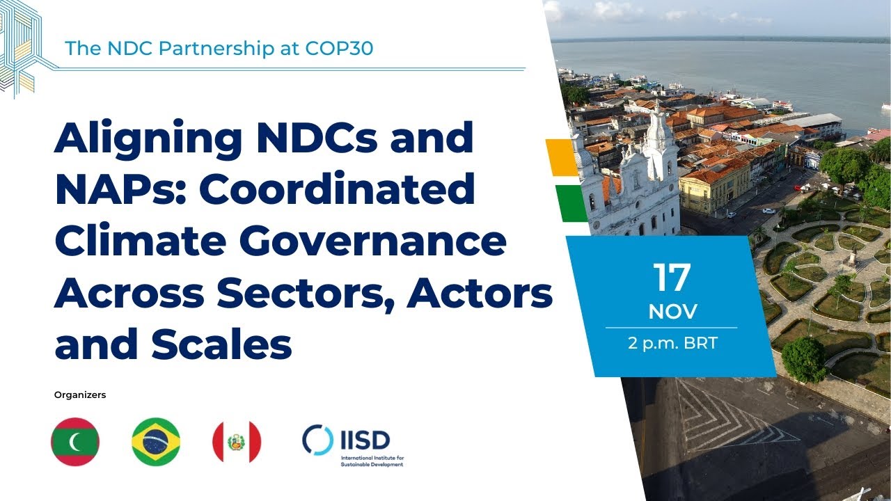 Aligning NDCs and NAPs: Coordinated Climate Governance Across Sectors, Actors and Scales