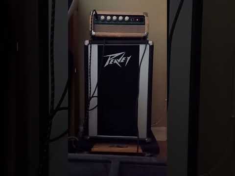 Custom Mini Amp Head (Yamaha Budokan) image 6