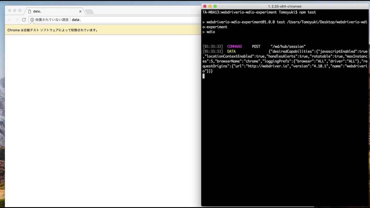 WebdriverIO wdio test runner