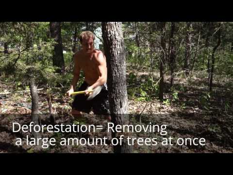 Prefixes 2 (Chron, Circum, Contra/Counter, De, Dict, Dis, Duc/Duct)