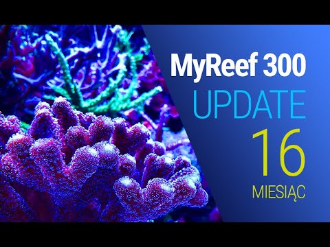 (166) MyReef 300 / Update / 16 months - Marine aquarium - Reef aquarium
