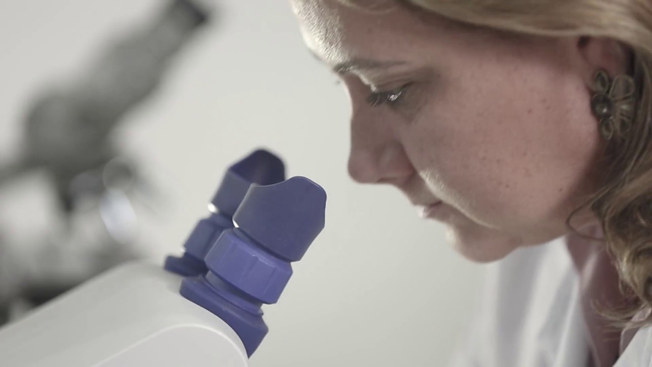 Laboratório de Análise de Sementes