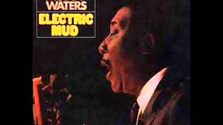 MUDDY WATERS - Tom Cat PSYCH/BLUES (1968)