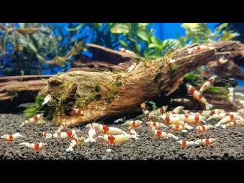 2023/10/26 paisagem na água