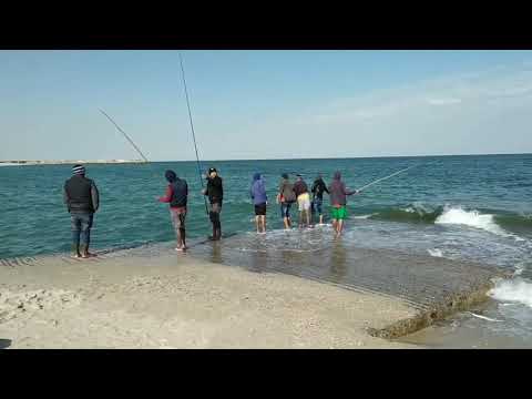 Kuwait beaches. #beach #mahboula #kuwait
