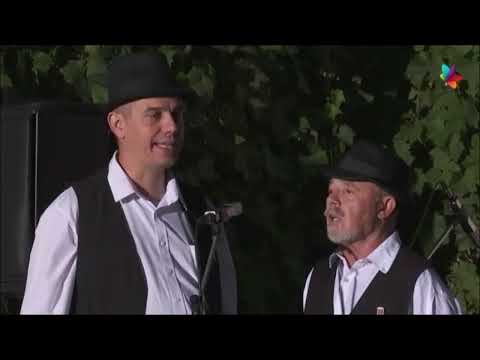 V PETROVSKIM POLJU - Orkester KUD "Jakim Hardi", PETROVCI
