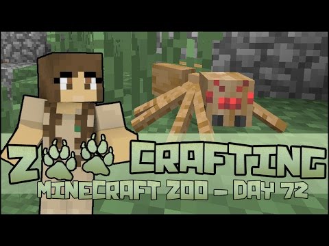 Ben's Eight-Legged Addition to the Family! 🐘 Zoo Crafting: Season 2 - Episode #72