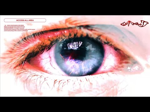 Lil Moshpit - Gotta Lotta Shit (Feat. Dbo, sokodomo, Kash Bang) (Official Visualizer)