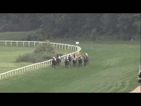 KV, 24. 7. 2016, 4. dostih - Lázeňská míle MIKROPu ČEBÍN