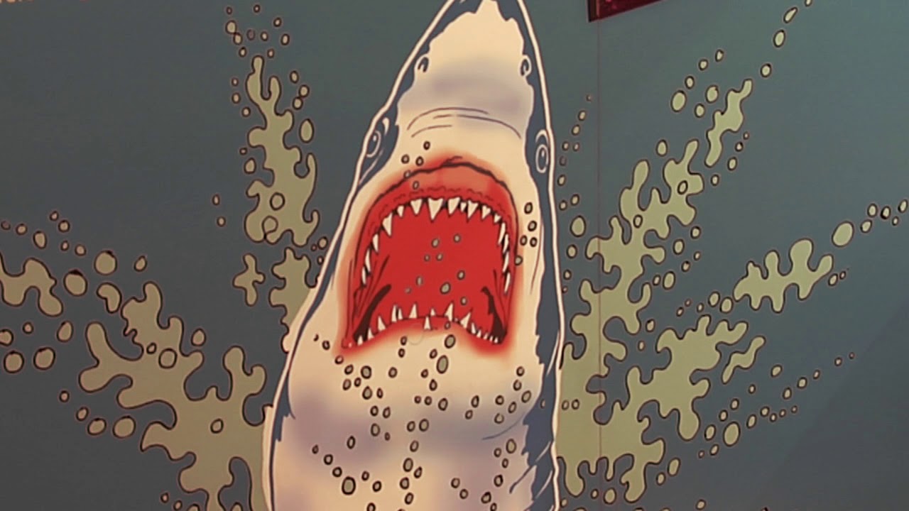 Sam Noble Oklahoma Museum of Natural History's: Megalodon Exhibit