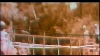 Film Serangan Fajar 1981 - Kisah Perang Kemerdekaa