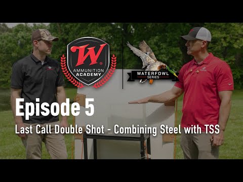 Winchester Wildcat .22 LR Rimfire Ammo Review - Has It Really Improved? My Browning Hates It!