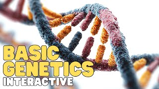 Basic Genetics | Interactive | Learn about DNA, RNA, and your genes