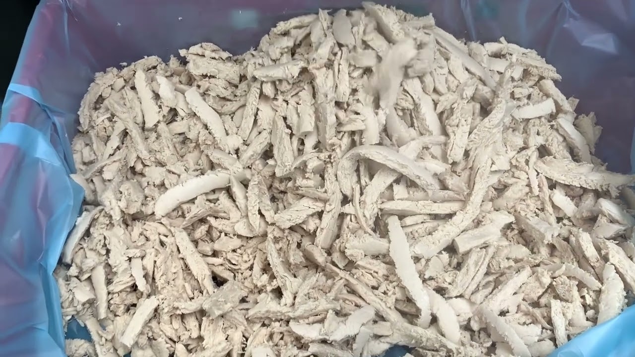 Plant based Chicken and Beef Process