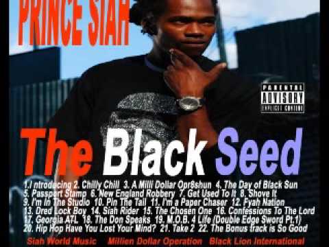 PRINCE SIAH SAY NO - WEAPON RIDDIM 2009 {HQ}