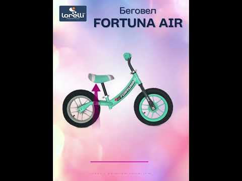 Миниатюра изображения товара Беговел Lorelli Fortuna Air / 10410080002 (серый/зеленый)