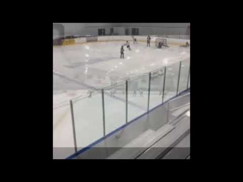 Tyler Webb Hockey Highlights 19-20