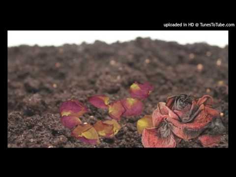 Today's Tango Is... Cuando Florezcan Los Rosales - Juan Canaro 07-10-1931