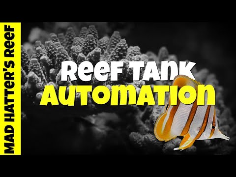 Top 5 Must Have Items for Reef Tank Automation