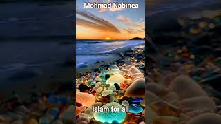 Download lagu Mohamed Nabinea                               #qarisyedsadaqatali #beautiful #surahalmulktilawat #lo mp3