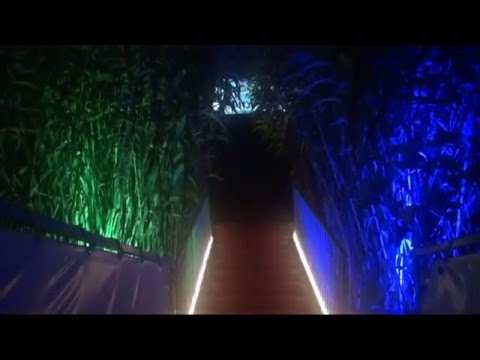 clic to play YouTube