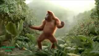 Funny Ape Song. Cartoon Parody. Dance Music Pop Songs. (Dancing Gorilla) Cartoons movies