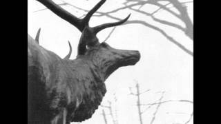 Agalloch - ...And The Great Cold Death Of The Earth