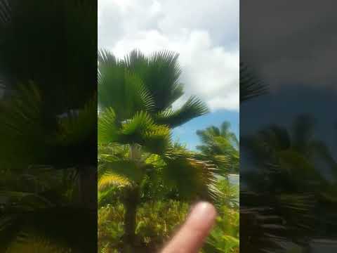 Mango House LXR 1 Bay House Villa Seychelles