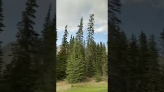 Download lagu Akele hi akele chala hai kahan..#song #latamangeshkarsongs 🌿🌳🌿💚 mp3