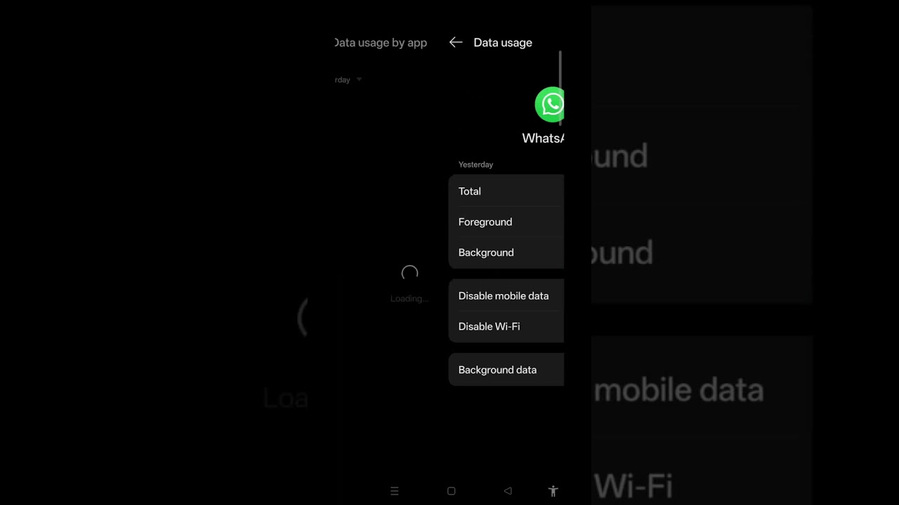 one of the most important setting of Android phone for blind mobile network data usage and internet 