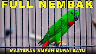 Download lagu Burung Serindit Gacor Bikin Emosi Semua Burung #serindit #masteran #birds mp3