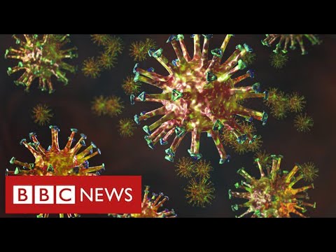 來自南非的新變異冠狀病毒是 "高度關注 "的 - BBC News (New mutated coronavirus from South Africa is "highly concerning" - BBC News)