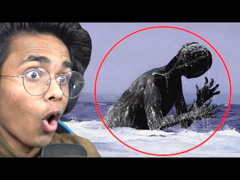 Mysterious Creatures Caught on Camera