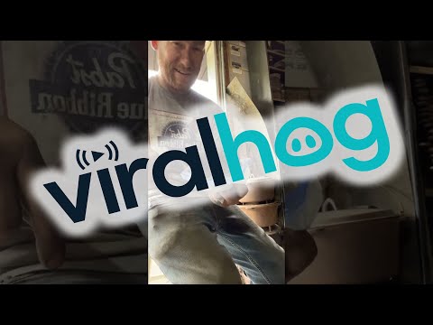 Collecting Iron Dust With a Magnet || ViralHog