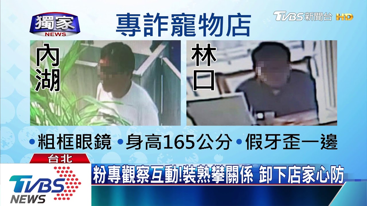 「借我兩千」！誆稱認識熟客　詐寵物美容店
