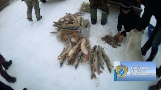 Рыбалка на сорочинском водохранилище алтайский край